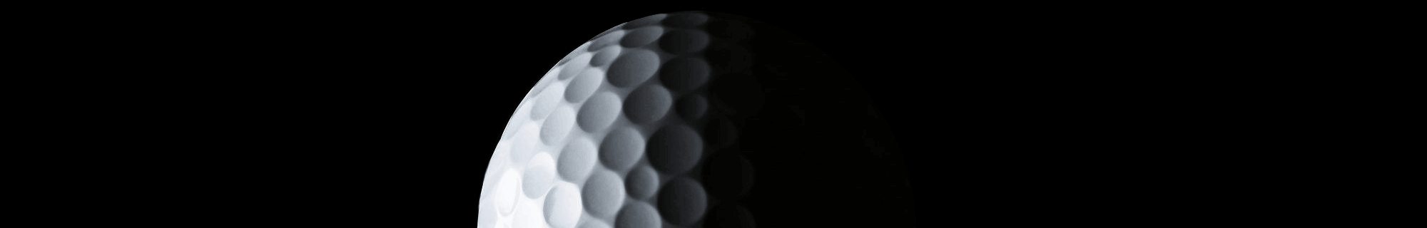 The Golf Dome - Photo 6
